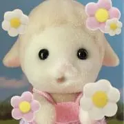 ちゃむの画像