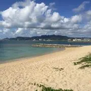 negaimamaの画像