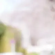 mnの画像
