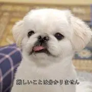 n♡