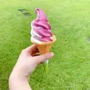 りったんの画像