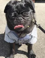 ひー