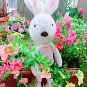 mi♡の画像