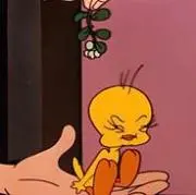 ohanaの画像