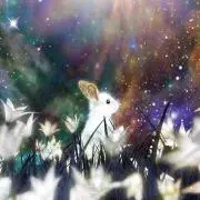 Miyagi☆psy