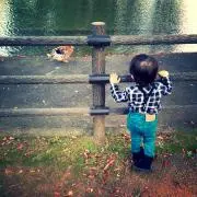 のり
