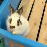 ♡