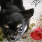 しのぶLove❤️