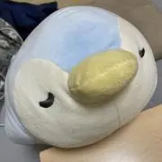 ぺんの画像