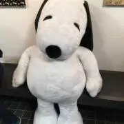 すぬこの画像