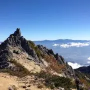 ななみの画像