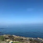 ももの画像