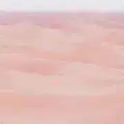 プロフ必読の画像