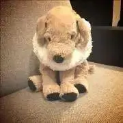 セバスチャン