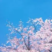 ダイトウ（プロフ確認希望)