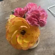 ミームンの画像