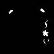 ヨシPの画像