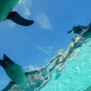 myの画像