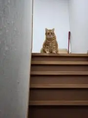 miyayuki134の画像