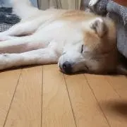 えのの画像