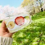 フルーツサンドの画像