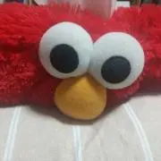 タマの画像