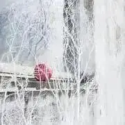 降矢の画像