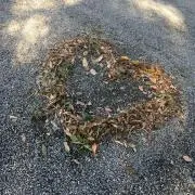 Miiii