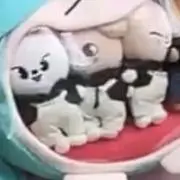 G'z