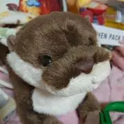 あっぷる