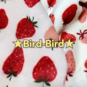 Bird-Birdの画像