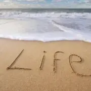 LIFE (購入、値下げ交渉大歓迎)の画像