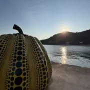 直島の黄かぼちゃ