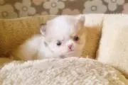 ♡すず♡