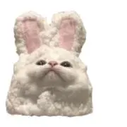 rktの画像