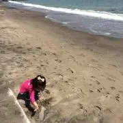 のこのこ✿引っ越しのため断捨離中