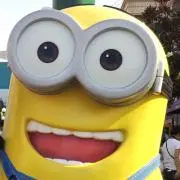 ここっちの画像
