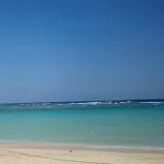 かなやみわの画像