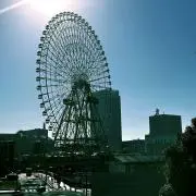 チロ子   即購入大歓迎！の画像