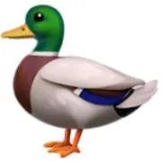 みさ