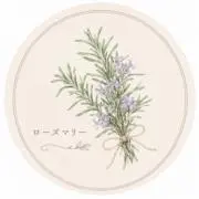 ローズマリー | 大人女性のきれいめ服の画像