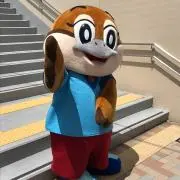 イバルボの画像