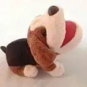 サニーの画像