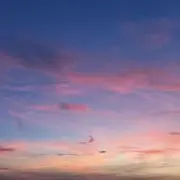 amitoの画像