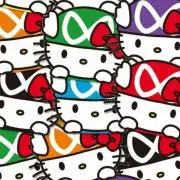 ★にゃんころ★の画像