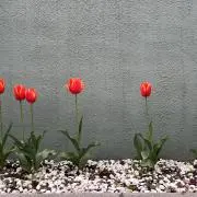 ぷぷ
