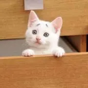nico☺︎の画像