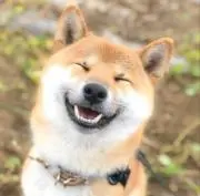 プー[即購入○]