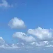 かめの画像