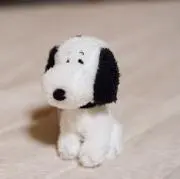 toshiの画像